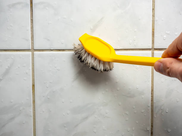 Best Home Mold Removal  in Young Harris, GA